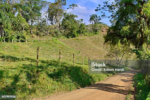 Rural Landscape With Road Stock Photo - Download Image Now - Beauty In Nature, Blue, Brazil