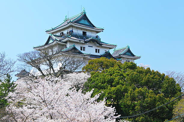 istock Japanese castle in wakayama 607998184