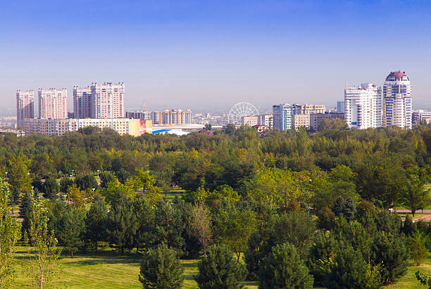 istock Golden morning in a park. 607999448