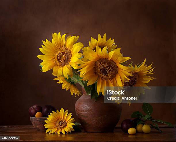 Bouquet Of Sunflowers In Old Clay Jug Stock Photo - Download Image Now - Sunflower, Still Life, Flower