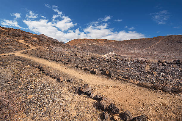 istock Path in scenic volcanic landscape south Tenerife island 608001174
