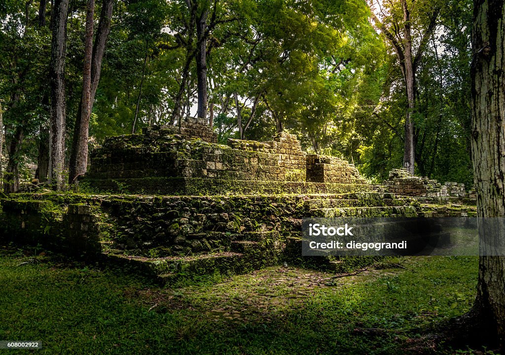 Residential area of Mayan Ruins of Copan, Honduras Ruins of residential area of Mayan Ruins - Copan Archaeological Site, Honduras Honduras Stock Photo