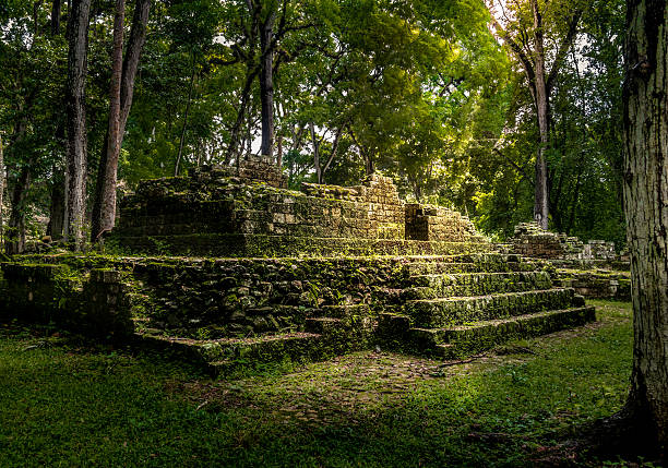 residential area of mayan ruins of copan, honduras - mahvolmuş stok fotoğraflar ve resimler