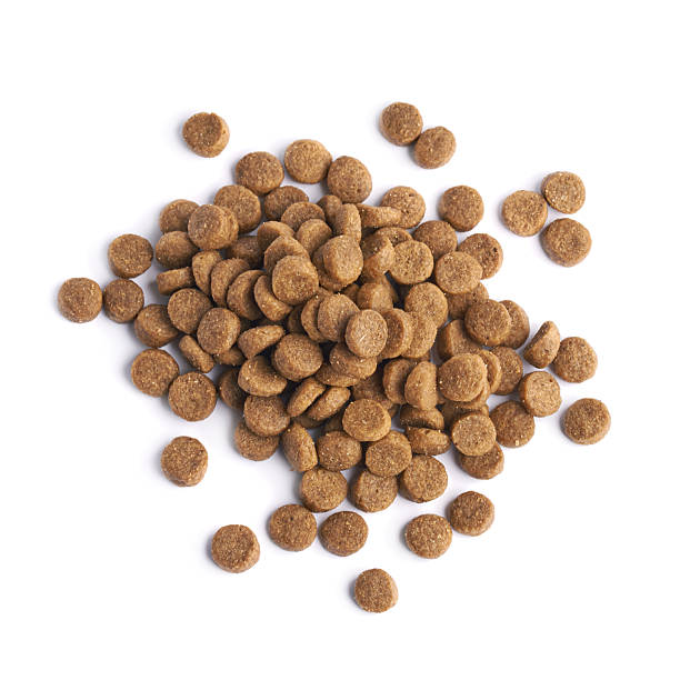 istock Pile of dry pet's food 608004152