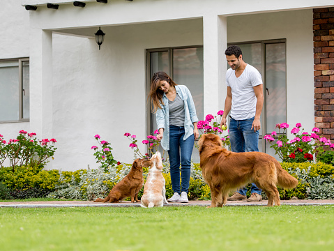 Happy young couple playing with their dogs at the backyard of their house - lifestyle concepts