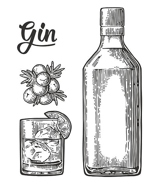 열매를 곁들인 진과 가지 주니퍼 유리병 - tonic water stock illustrations