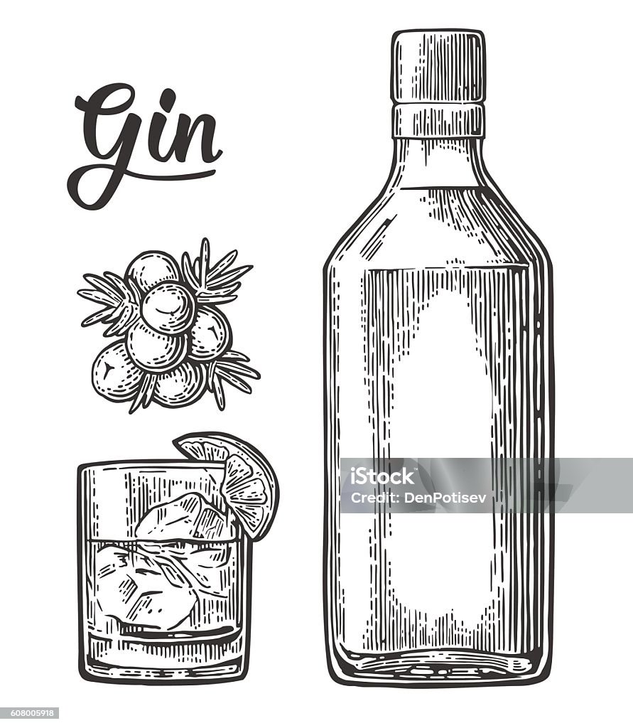 Glass and bottle of gin and branch Juniper with berries Glass and bottle of gin and branch of Juniper with berries. Vintage vector engraving illustration for label, poster, web, invitation to party. Isolated on white background Gin stock vector