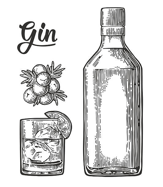 Glass and bottle of gin and branch Juniper with berries Glass and bottle of gin and branch of Juniper with berries. Vintage vector engraving illustration for label, poster, web, invitation to party. Isolated on white background gin stock illustrations
