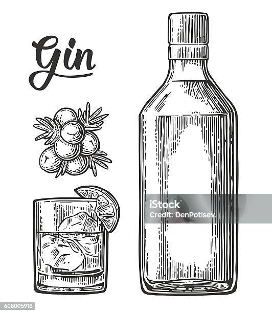 Glass And Bottle Of Gin And Branch Juniper With Berries Stock Illustration - Download Image Now