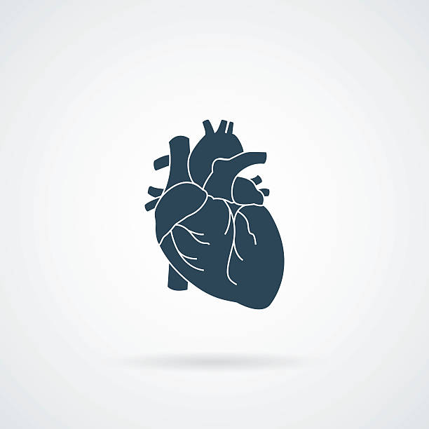 serce organ człowieka izolowane ikony - biologia stock illustrations