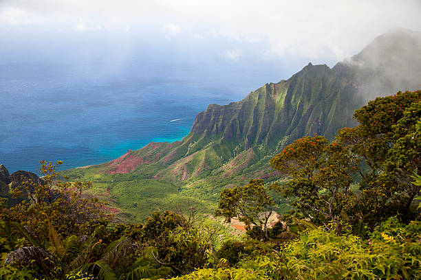 istock Napali Coast in Kauai, Hawaii 608007024