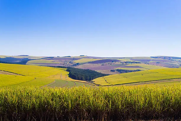 Photo of View of the Valley of a Thousand hills near Durban