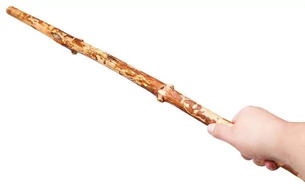 Photo of arm with wooden staff from tree trunk isolated