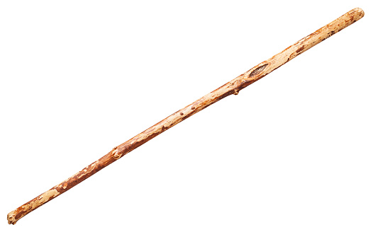 wooden staff from tree trunk isolated