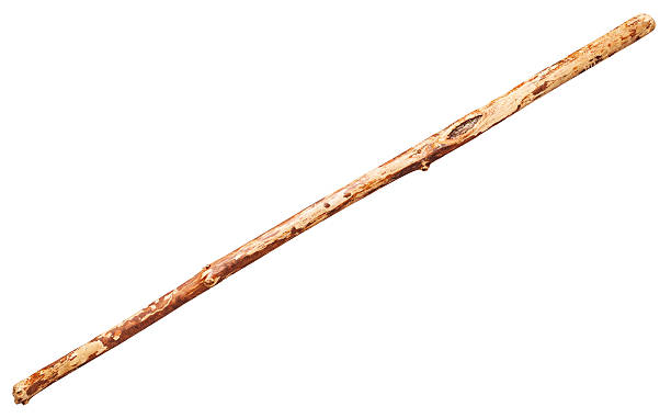 wooden staff from tree trunk isolated wooden staff from tree trunk isolated on white background stick plant part stock pictures, royalty-free photos & images