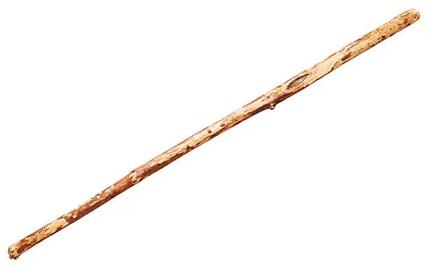 wooden staff from tree trunk isolated on white background