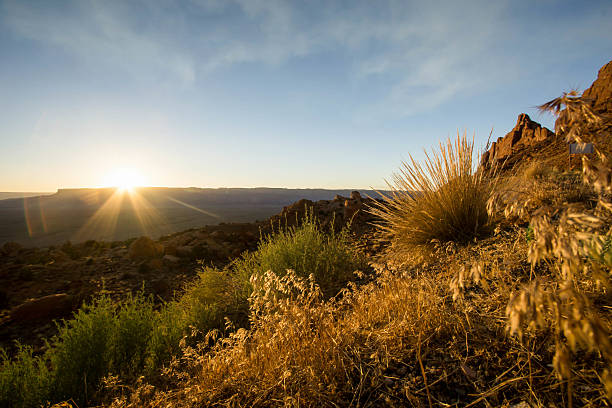 istock sunset in the Arizona desert 608479966