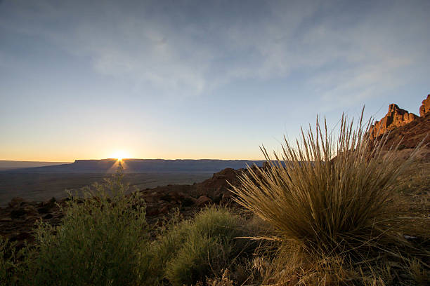istock sunset in the Arizona desert 608480068