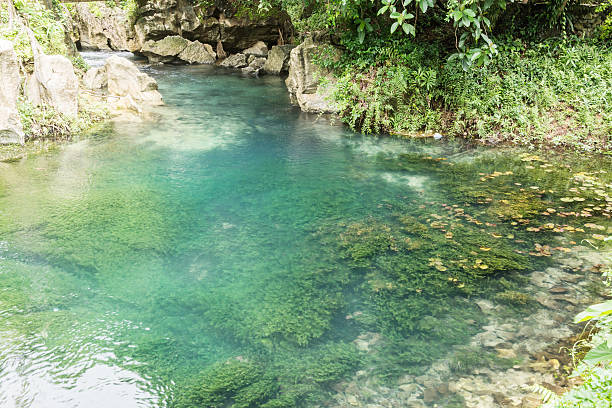 istock Deep forest Waterfall in nature, Vang Vieng, Laos 608492410