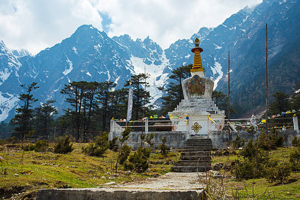 la estupa en el valle de yumthang en lachung, sikkim del norte, india - sikkim fotografías e imágenes de stock