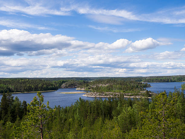 istock Forests near lake Ladoga 608508448