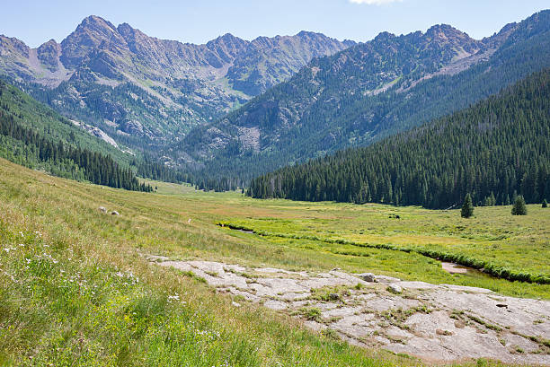 istock Trout stream along the hiking trail 608512506
