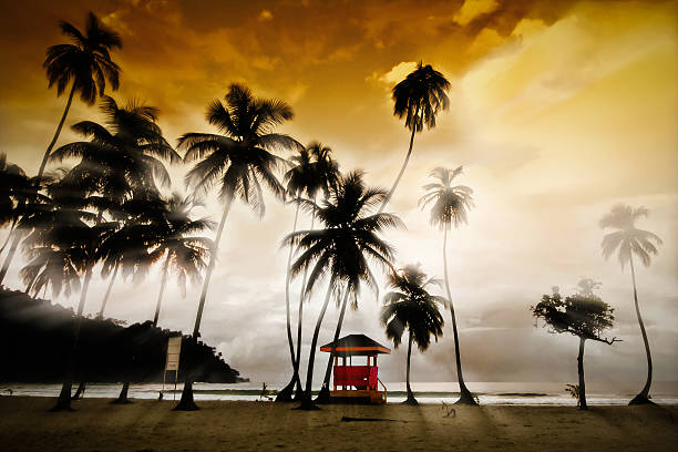 Artistic afternoon Maracas Beach featuring the lifeguard hut at dusk. stock photo