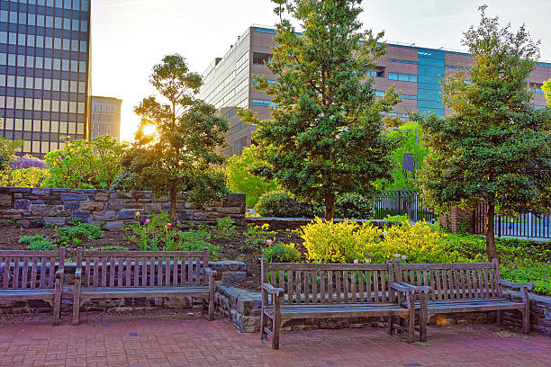 istock Romantic sunset in the park in Philadelphia PA 608515844