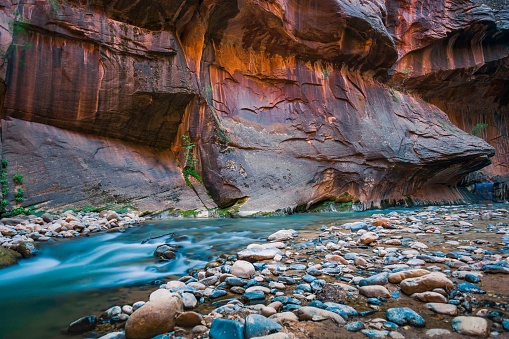 Autumn Fall Colors Along Scenic Creek in Canyon - Flowing water and colorful fall foliage during autumn. Tranquil scenic landscape in wilderness area.