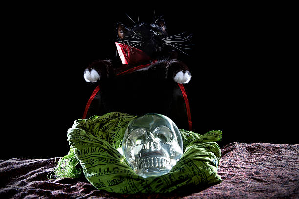 Black cat in a cape with a crystal skull on a black background.  The cute pet is dressed in a Halloween costume with a prop artifact in front of her.  The image depicts the holiday.