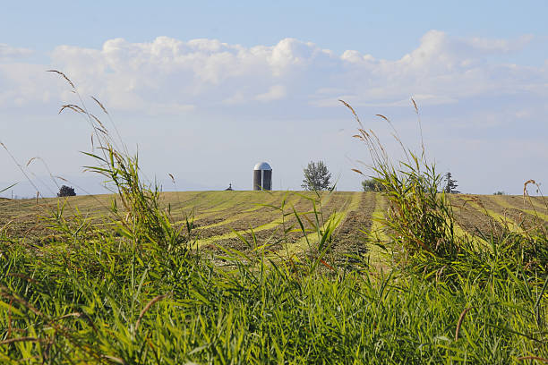 istock Rural Western Washington Countryside 608518076