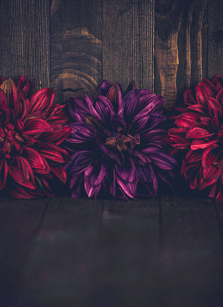 istock Thanksgiving fall background with vibrant flower border against rustic wood 608519100