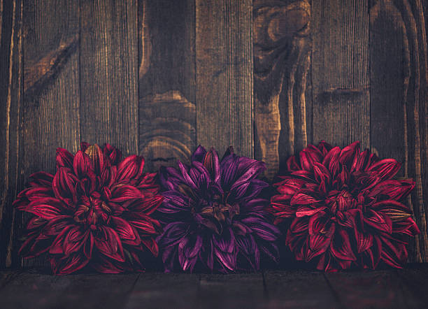 istock Thanksgiving fall background with vibrant flower border against rustic wood 608519146