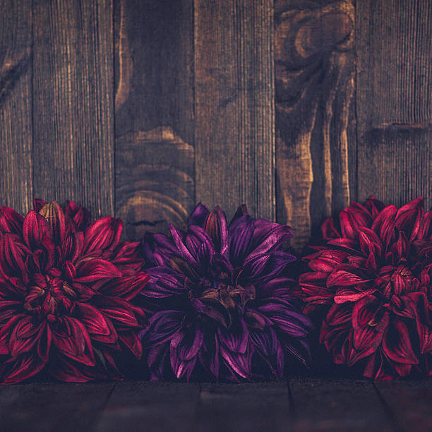 istock Thanksgiving fall background with vibrant flower border against rustic wood 608519448