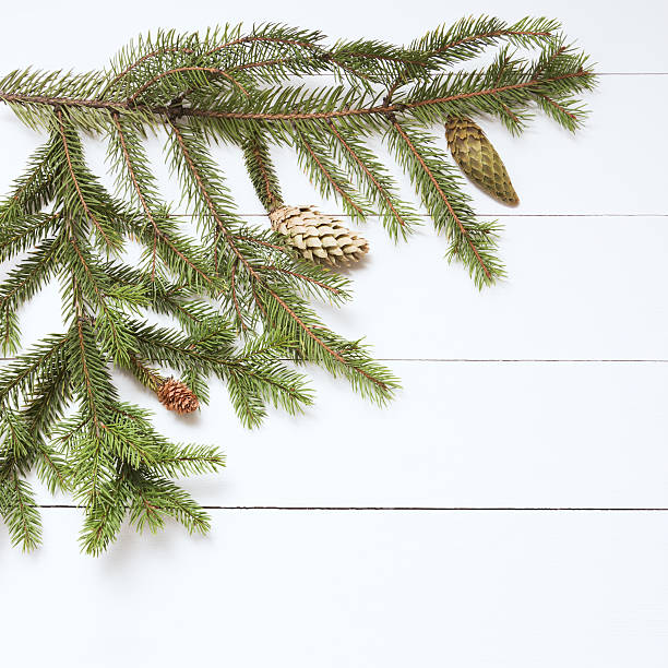 istock Spruce twig with cones on white wooden background. New Year 608524480