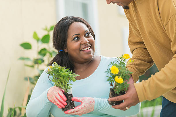 jeune couple noir jardinant, plantant des fleurs - heavy plant photos et images de collection