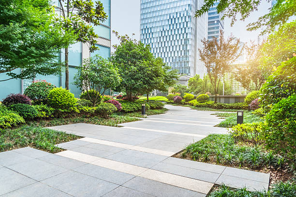 parque bonito em um dia ensolarado - pedestrian walkway - fotografias e filmes do acervo