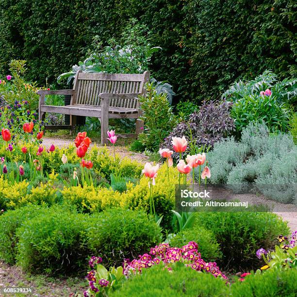 English Garden With Walk Path Leading Empty Bench Square Composition Stock Photo - Download Image Now