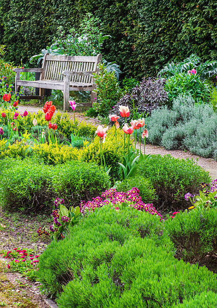 istock English garden with a walk path leading to empty bench 608539400