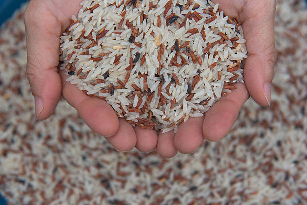 istock closeup Mixed White and brown rice, colorful rice grain in hand 608540596