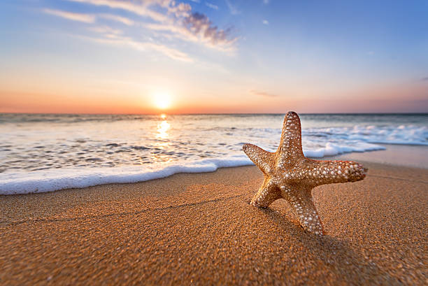 istock Sandy summer beach with blur sea on background. 608547802