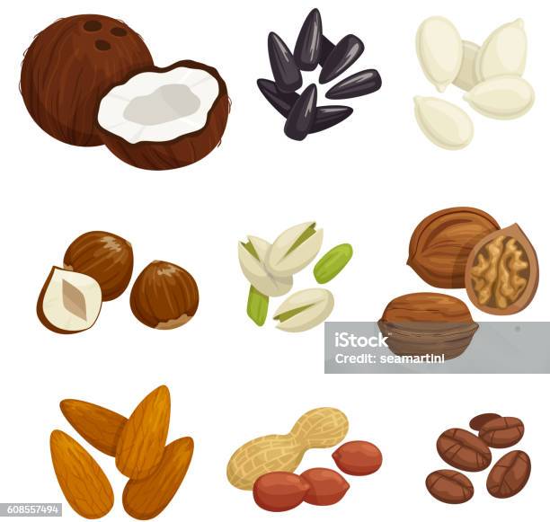 Nuts Grain And Kernels Vector Icons Stock Illustration - Download Image Now - Nut - Food, Walnut, Almond
