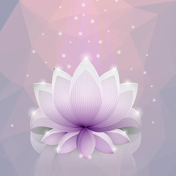 Pink Glossy Lotus Stock Illustration - Download Image Now - Lotus Water  Lily, Kundalini, Purple - iStock