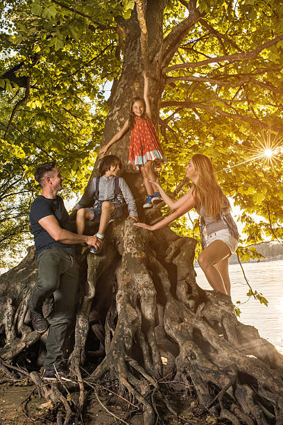 istock Playful family having fun on a tree in nature. 608563132