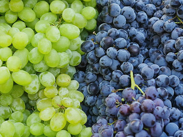 istock market red wine grapes 608563464