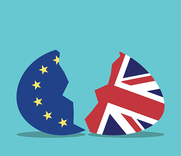 eu 및 영국 계란 - two eggs stock illustrations