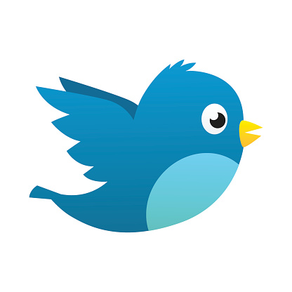 Social media blue bird vector isolated