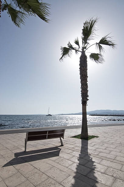 istock Palm tree silhouette againt sunny blue sky 608581748