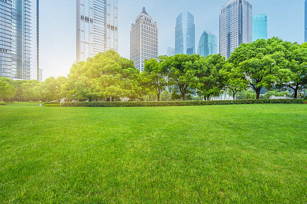 istock buildings and green lawn 608584334