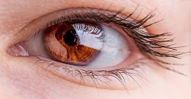 istock macro image of female beautiful hazel eye 608592792